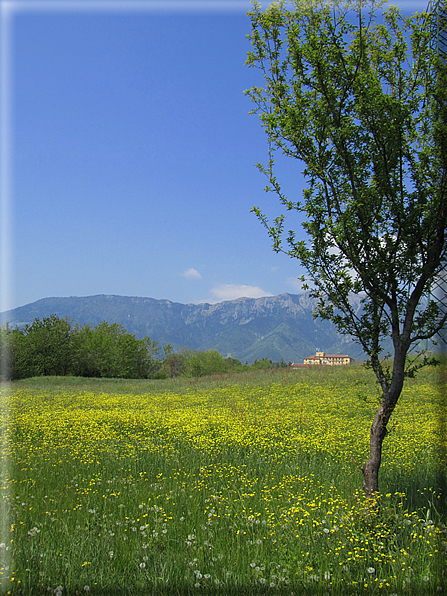 foto Paesaggi tra i Colli